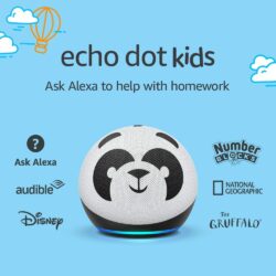 Echo dot gift for kids